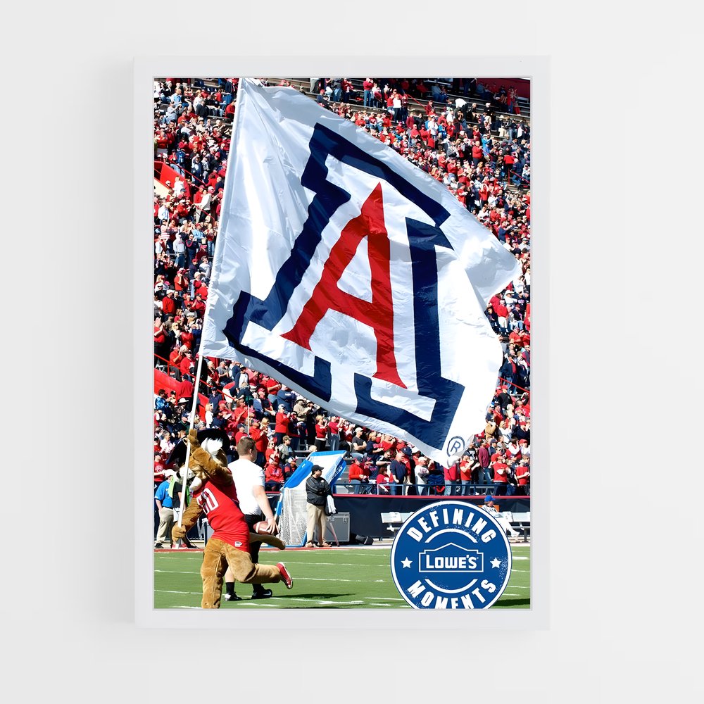Poster Fier Wildcats – affiche Basketball (vue 3)